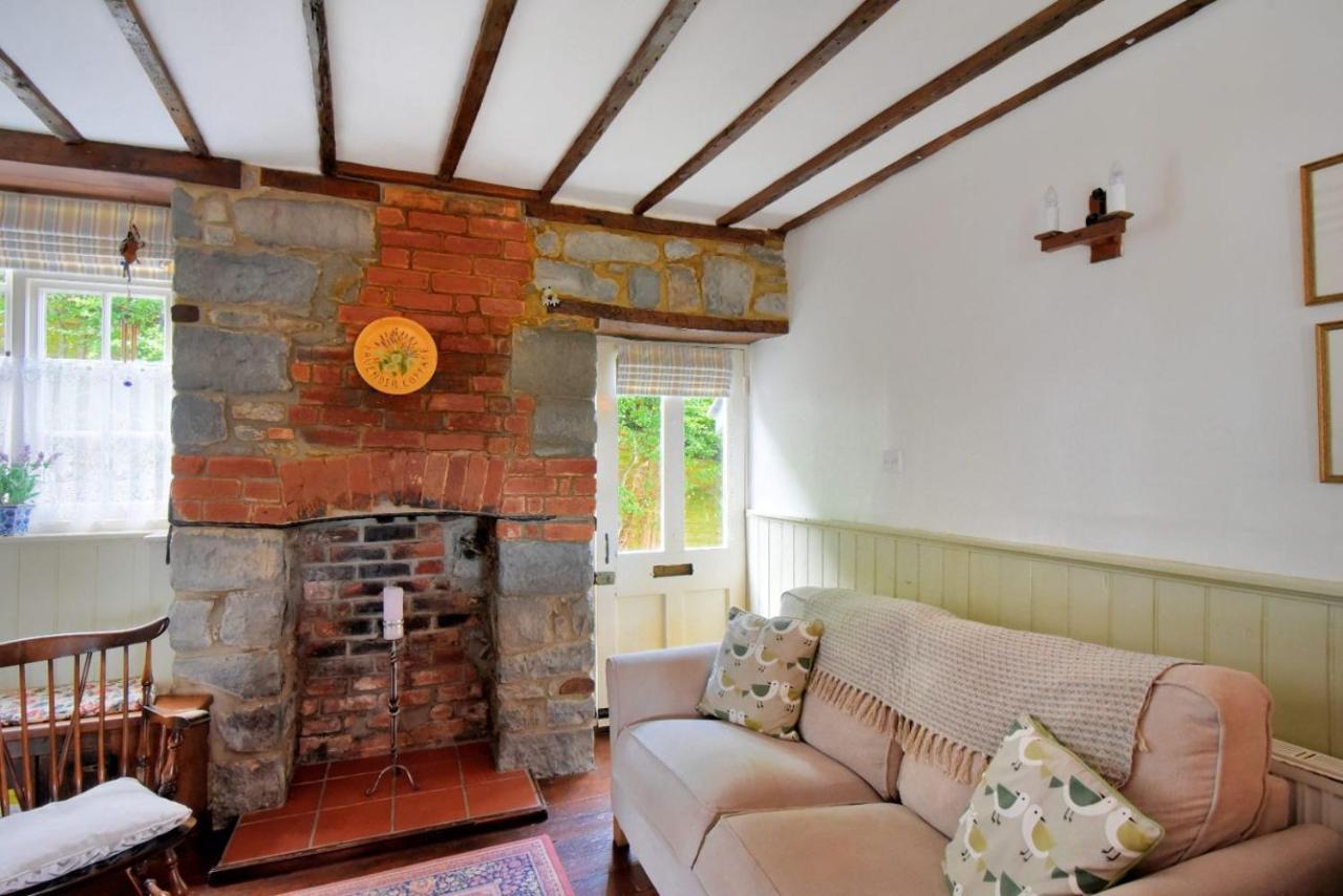 Lavender Cottage Lyme Regis Esterno foto